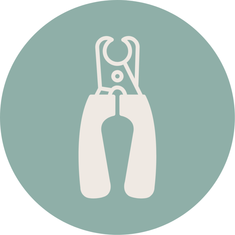 Dog nail trimming services at Magic Pets Grooming Salon & Spa in Orlando, FL